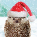The design on this Christmas card is of a hedgehog, wearing a Father Christmas hat.