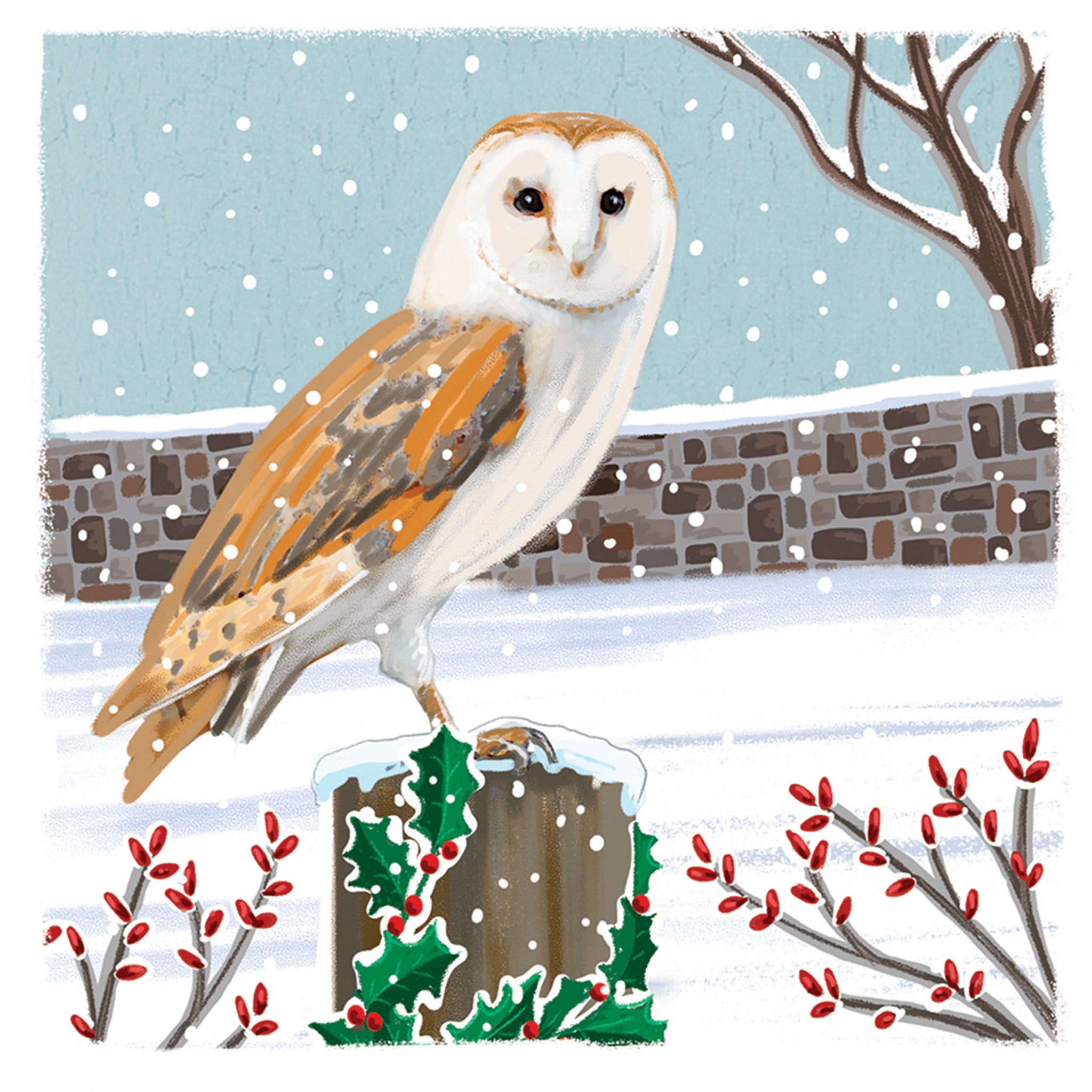 The design on this Christmas card is an illustration of a barn owl sitting on a fence in a snowy field.