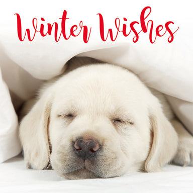 The design on this Christmas card is a photograph of a sleeping Labrador puppy under a blanket. Text of the card reads "Winter Wishes"