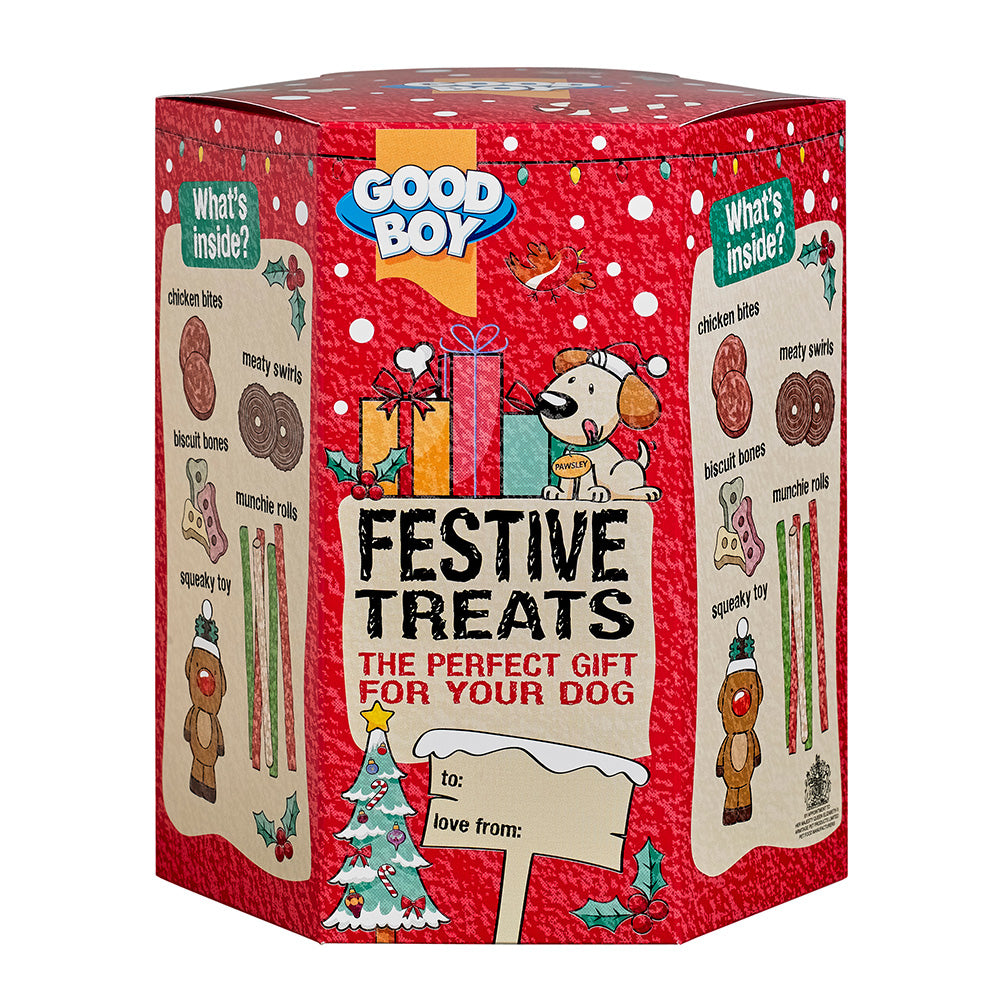 A hexagonal shaped box with Christmas illustrations of dogs, presents and a Christmas tree, and the text 'Festive Treats: The Perfect Gift for your Dog'.