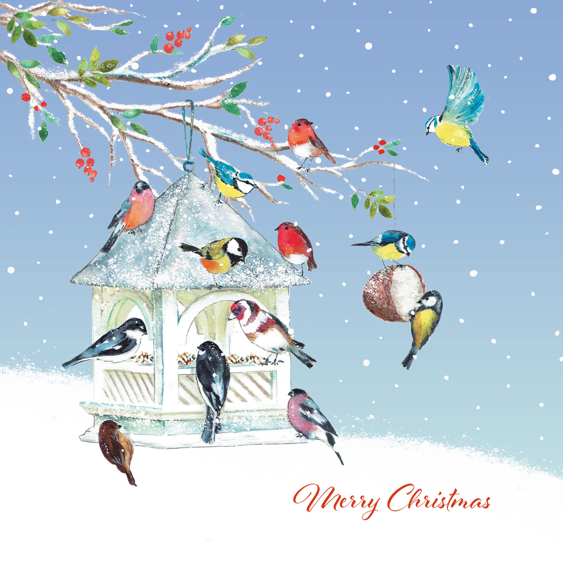 This christmas card design shows a number of different coloured birds eating from a bird feeder hanging on a tree branch and reads Merry Christmas in the bottom right hand corner.