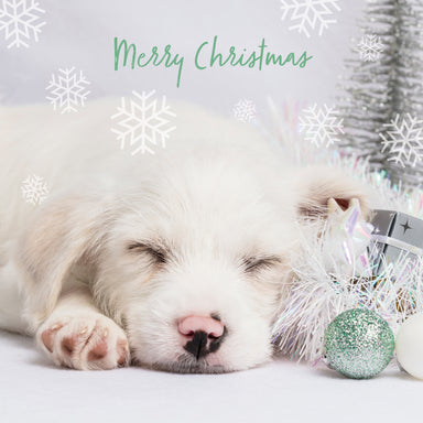 The design is an image of a white haired Labrador puppy sleeping next to a bauble. The card reads Merry Christmas and there is snowflakes falling.