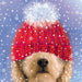 The design is illustrated and golden dog with a red bobble hat pulled down over their eyes. On a blue background with white snowflakes.