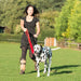 A lady in a black dress with white spots is running holding a Dalmation using a red training lead.