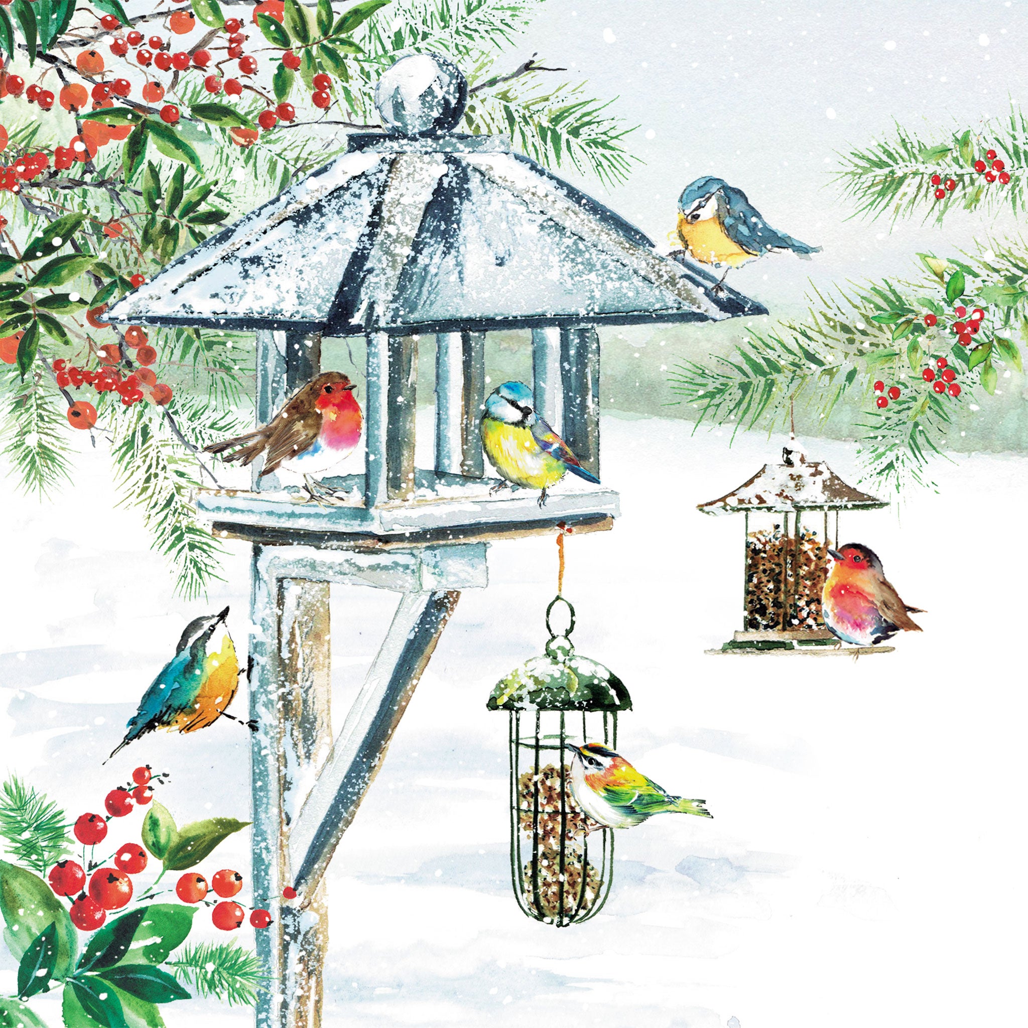 The design on this Christmas card is an illustration of garden birds around a birdhouse in a wintery garden.