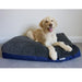 A happy dog sits on a dark sherpa covered dog bed in a room with grey carpets and cream walls. The dog bed has a Guide Dogs label.