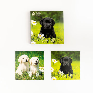 guide dogs brand black labrador and golden puppy notecards