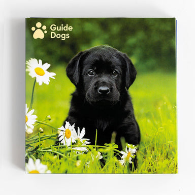 guide dogs brand black labrador puppy notecard