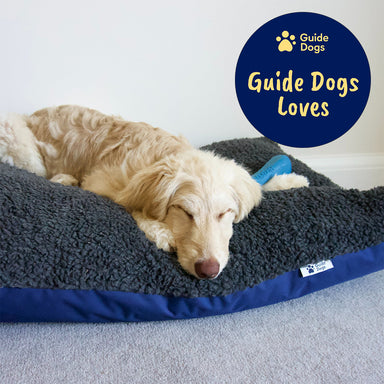 A dog sleeps on a dark sherpa lined dog bed in a room with a grey carpet and cream walls. The dog bed has a Guide Dogs label. The Guide Dogs Loves logo is in the top right.