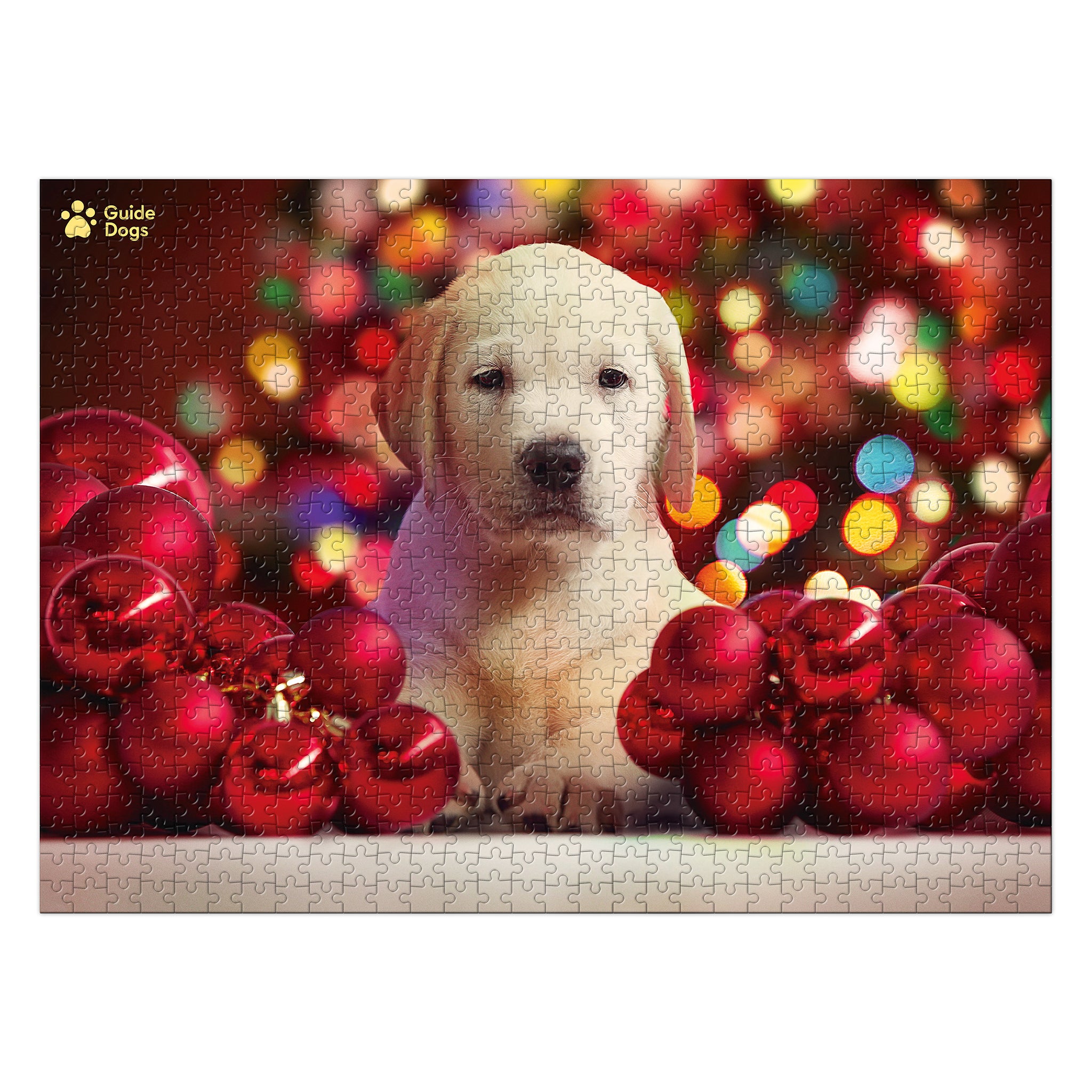 An image of the completed Guide Dogs Christmas Jigsaw showing the image on the jigsaw, a Yellow Labrador Puppy surrounded by red baubles and festive lights behind. 