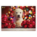 An image of the completed Guide Dogs Christmas Jigsaw showing the image on the jigsaw, a Yellow Labrador Puppy surrounded by red baubles and festive lights behind. 