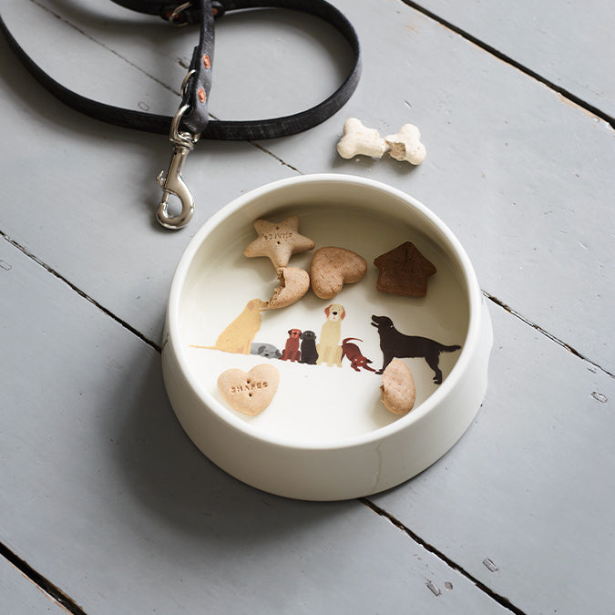 A white ceramic dog bowl with seven dogs across the centre of the base. A Golden Retriever sits next to a sleeping Black Labrador; two Labrador puppies, one Chocolate one Black; a Yellow Labrador, a playful Chocolate Labrador and a standing Black Labrador.