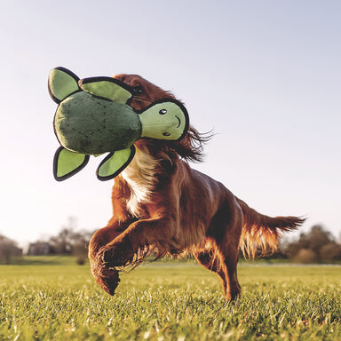 A lifestyle image featuring a dog outside playing with the Turtle dog toy.